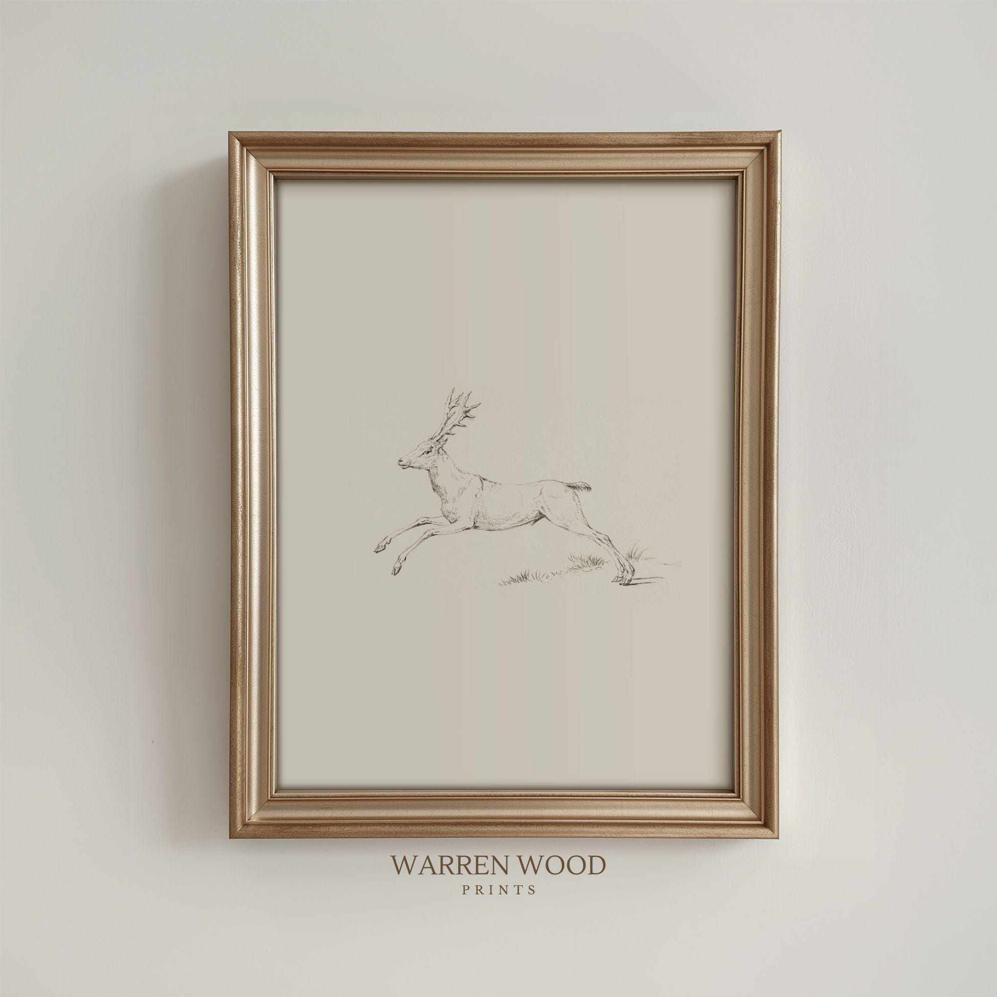 Leaping Stag Wall Art Print, Neutral Rustic Deer Illustration ...