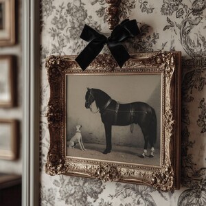 May include: A framed print featuring a black horse and a small white dog. The print is in a gold ornate frame and is adorned with a black velvet bow. The background is a floral wallpaper.