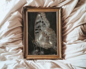 Ethereal Butterfly Print, Vintage Insect Wall Art, Dark Grey and Soft Black Glow Painting, Moody Rustic Decor, Dark Feminine Print