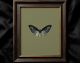 Vintage Butterfly Print, Olive Green Wall Art, Nature-Inspired Decor, Botanical Insect Illustration, Rustic Cottagecore Digital Download