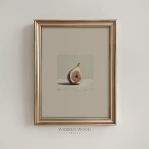 Könnte beinhalten: Ein gerahmter Druck mit einer halbierten Feige. Das Innere der Feige ist ein tiefes Rot-Violett mit kleinen Samen. Der Druck ist vor einem neutralen Hintergrund platziert und in einem goldfarbenen Rahmen gefasst. Der Text "WARREN WOOD PRINTS" steht unten.