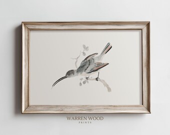 Vintage Hummingbird Print, Hummingbird Art, Neutral Print, Minimalistic Wall Art, Calming Bird Painting, Neutral Wall Art, Soft White Print