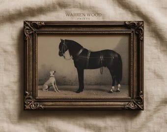 May include: Framed vintage print featuring a black horse and a white dog. The horse is wearing a harness. The print is in a dark brown ornate frame. The text "WARREN WOOD PRINTS" is at the top of the print.