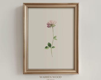 Clover Flower Print, Soft Pink Botanical Wall Art, Vintage Floral Poster, Neutral Country Cottage Decor, Light Pink Vintage Flower Print