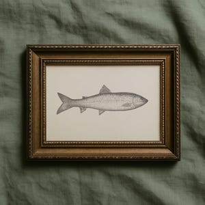 Vintage Fisch Zeichnung Druck, neutrale Küsten Wandkunst, rustikale Angeln Dekor, antike Meeres Illustration, Bauernhaus nautische Landschaft