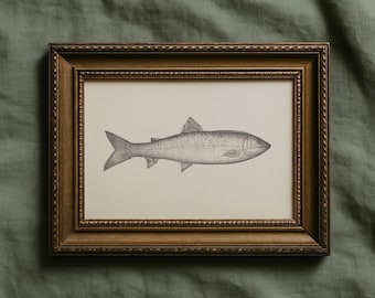 Vintage Fish Drawing Print, Neutral Coastal Wall Art, Rustic Fishing Decor, Antique Marine Illustration, Farmhouse Nautical Landscape