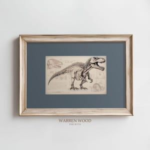 May include: Framed print featuring a detailed black and white illustration of a Tyrannosaurus Rex skeleton. The artwork includes additional skeletal diagrams and is set against a beige background. The frame is a light wood color, and the print is labeled "WARREN WOOD PRINTS".
