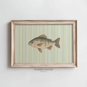 Vintage Fish Print, Quirky Eclectic Wall Art, Light Green Striped Kitchen Decor, Rustic Fish Printable, Stripey Wall Art, Kooky Print