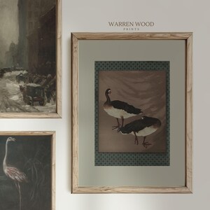 May include: Framed print featuring two birds with black and white plumage, set against a brown background. The print is framed in a light-colored wood frame, with the text "WARREN WOOD PRINTS" at the top.