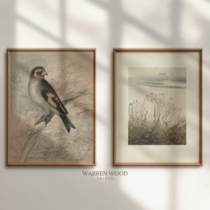 May include: Two framed art prints. The left print features a detailed illustration of a bird with brown, black, and white feathers perched on a branch. The right print depicts a landscape with muted colors. The frames are a light brown.