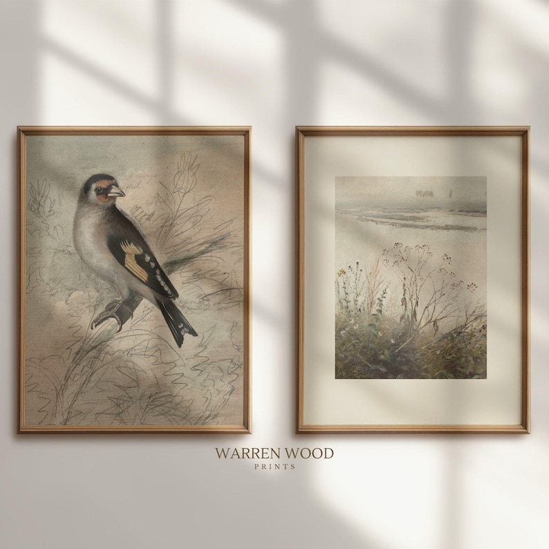 May include: Two framed art prints. The left print features a detailed illustration of a bird with brown, black, and white feathers perched on a branch. The right print depicts a landscape with muted colors. The frames are a light brown.