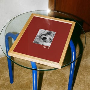 A framed photo of a dog is displayed on a glass table, with a blue chair visible in the background.