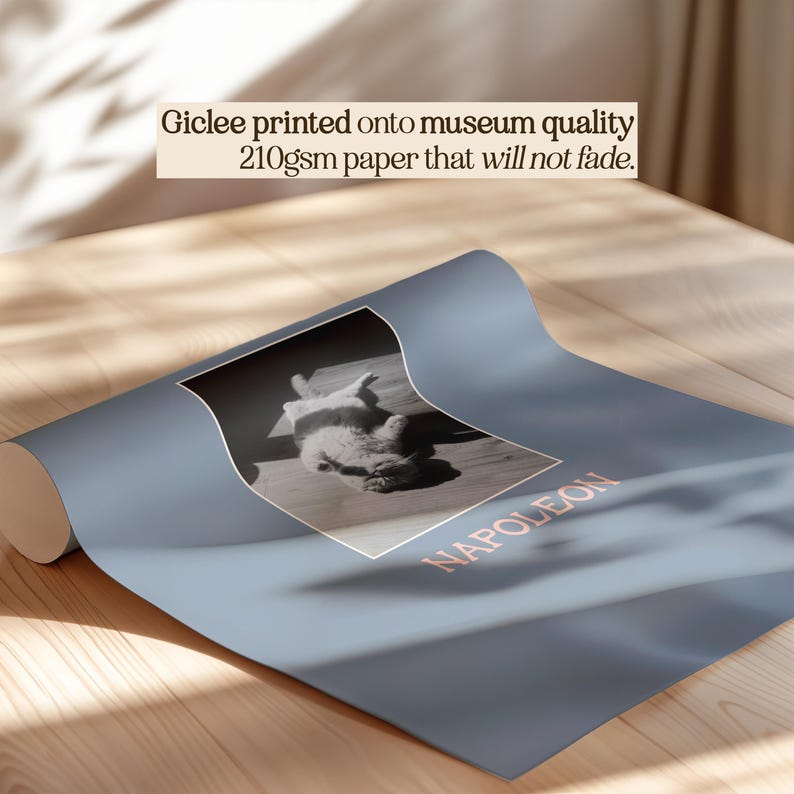 a roll of Giuseppe Napoleoni museum quality 210gsm paper that will not fade.