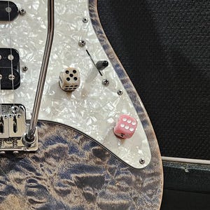 Swirl Guitar Bass Tone Volume Knob - Dice - Custom - Lucky - Musician - Music Gift - Band - Gibson - Fender - PRS - Gretsch