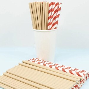 Colorful Paper Straws for Parties and Events