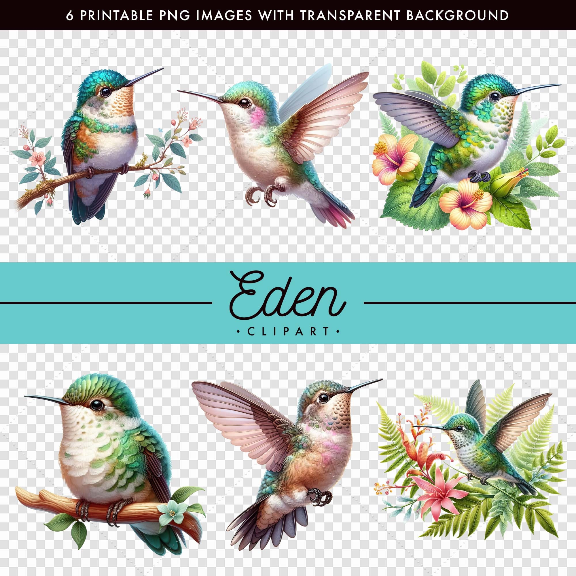 6 Adorable Hummingbirds Images • PNG / JPG Files Download • Printable ...