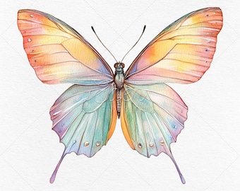 12 Watercolor Butterfly Clipart: Transparent PNG & JPG Images (Digital Download)