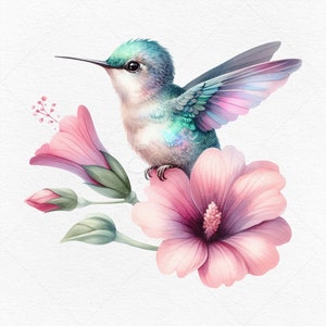 6 imágenes prediseñadas PNG • Preciosos colibríes en flores • Archivos de imágenes prediseñadas y JPG • Descarga instantánea • Se permite POD • Uso comercial