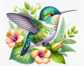 6 Adorable Hummingbirds Images • PNG / JPG Files Download • Printable Hummingbird Illustrations • POD Allowed • Commercial Use