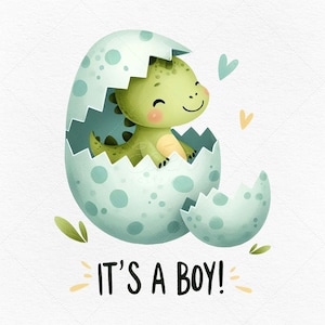 Het is een jongen illustraties • pasgeboren dinosaurus afbeeldingen voor baby shower uitnodigingen • afdrukbare bestanden commercieel gebruik • schattige ontwerpen digitale download