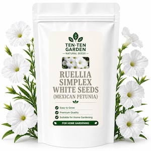 Vita Ruellia Simplex Frön – Mexikansk Petuniablomma, Lättodlad Trädgårdsväxt