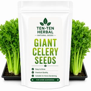 May include: A white stand-up pouch labeled TEN-TEN HERBAL NATURAL SEEDS GIANT CELERY SEEDS with green text and leaf icons. The pouch features checkmarks for Easy to Grow, Premium Quality, and Suitable for Home Gardening, flanked by celery plants.