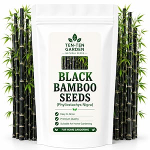 Op de afbeelding: Een witte stazak met zwarte bamboezaden, gelabeld Ten-Ten Garden Natural Seeds Phyllostachys Nigra. De verpakking bevat groene tekst, vinkjes en een afbeelding van zwarte bamboestengels met groene bladeren aan beide zijden.