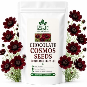 Peut inclure: Un sachet blanc refermable de graines de Cosmos chocolat avec le texte Ten-Ten Garden Natural Seeds, Chocolate Cosmos Seeds (Dark Red Flower), Easy to Grow, Premium Quality, Suitable for Home Gardening, et For Home Gardening.