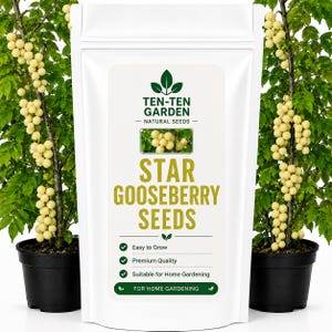 Może przedstawiać: Biała torebka stojąca z nasionami agrestu gwiaździstego Ten-Ten Garden z logo, małym obrazkiem żółtych jagód i tekstem zawierającym Easy to Grow, Premium Quality, Suitable for Home Gardening oraz For Home Gardening.