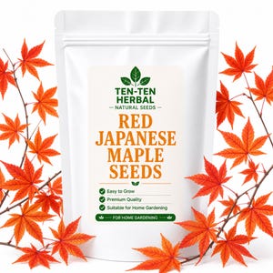 Semillas de arce japonés rojo (Acer Palmatum) – Árbol ornamental de jardín