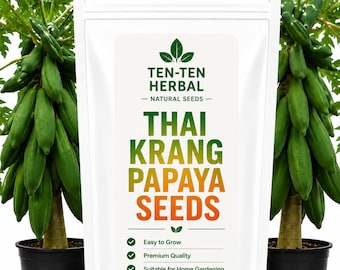 Thaise Krang Papaya Seeds | Tropische papajaboomzaden | Huis Tuin Beplanting