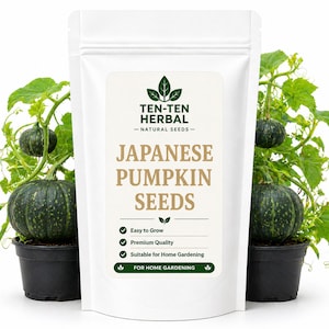 Semillas de calabaza japonesa Kabocha para plantar en el jardín.