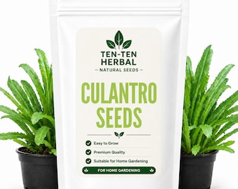 Semillas de culantro – Cilantro dentado – Cilantro largo