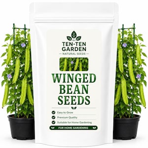 Könnte beinhalten: Ein weißer Standbeutel mit Ten-Ten Garden Natursamen und dem Text Winged Bean Seeds, Easy to Grow, Premium Quality und For Home Gardening. Der Beutel wird von zwei schwarzen Töpfen mit grünen Flügelbohnenpflanzen an Rankgittern flankiert.