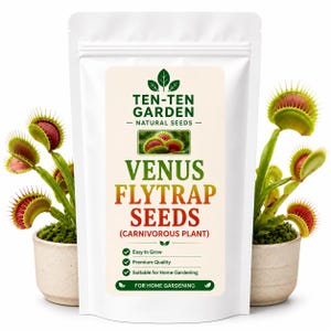 以下が含まれることがあります： Ten-Ten Gardenのハエトリソウの種が入った白いスタンドパウチ。ラベルには緑色の文字、植物の小さな画像、Venus Flytrap Seeds (Carnivorous Plant)という文字が記載されています。緑色の葉と赤く縁取られた罠を持つ2つの鉢植えのハエトリソウがパウチの両側に配置されています。