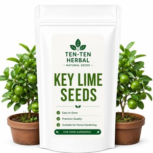 Op de afbeelding: Een witte stazak met het label TEN-TEN HERBAL NATURAL SEEDS KEY LIME SEEDS met groene tekst en iconen. De zak bevat vinkjes naast Easy to Grow, Premium Quality en Suitable for Home Gardening, geflankeerd door twee limoenbomen in potten.