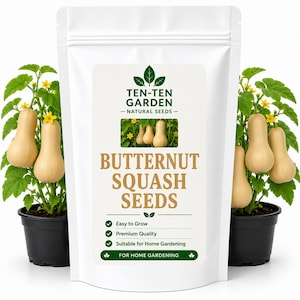 Peut inclure: Un sachet blanc refermable de graines de courge butternut Ten-Ten Garden Natural Seeds. L'étiquette présente du texte, une petite image de courge et des coches vertes. Deux pots noirs contenant des plants de courge verts avec des fleurs jaunes.
