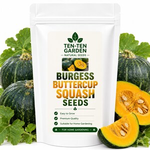 Puede incluir: Una bolsa blanca vertical que contiene semillas de calabaza Burgess Buttercup. La etiqueta muestra el texto TEN-TEN GARDEN NATURAL SEEDS, una imagen de calabazas enteras y cortadas, y las palabras BURGESS BUTTERCUP SQUASH SEEDS con marcas verdes.