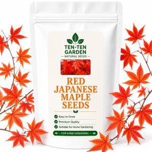 Peut inclure: Un sachet blanc debout contenant des graines d'érable japonais rouge, avec une étiquette portant le texte TEN-TEN GARDEN NATURAL SEEDS, RED JAPANESE MAPLE SEEDS, Easy to Grow, Premium Quality, Suitable for Home Gardening, entouré de feuilles d'érable rouges.
