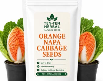 Oranje Napa-koolzaden – Home Garden-variëteit