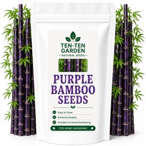 Op de afbeelding: Een witte stazak met paarse bamboezaden, voorzien van de tekst TEN-TEN GARDEN NATURAL SEEDS en PURPLE BAMBOO SEEDS. De verpakking heeft een klein venster met paarse bamboestengels en groene bladeren die op de achtergrond zichtbaar zijn.