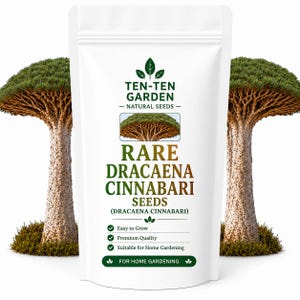 Pode incluir: Uma bolsa branca vertical contendo sementes de Dracaena cinnabari. O rótulo apresenta o texto TEN-TEN GARDEN NATURAL SEEDS, RARE DRACAENA CINNABARI SEEDS e FOR HOME GARDENING, juntamente com uma imagem de um dragoeiro e ícones de verificação.