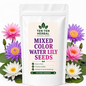 Mezcla de semillas de nenúfares: flores flotantes fáciles de cultivar para estanques (Jardinería doméstica)
