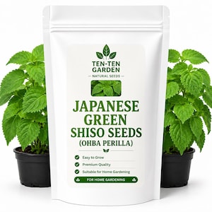 Puede incluir: Una bolsa blanca vertical etiquetada como Ten-Ten Garden Natural Seeds Japanese Green Shiso Seeds (Ohba Perilla) con una pequeña imagen de hojas verdes, flanqueada por dos plantas de shiso verdes en macetas de plástico negro sobre fondo blanco.