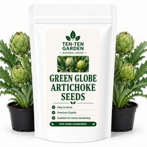 Op de afbeelding: Een witte stazak met Green Globe artisjokzaden met het Ten-Ten Garden logo, tekst en een centrale afbeelding van artisjokken. De zak wordt geflankeerd door twee zwarte potten met groene artisjokplanten met zichtbare bladeren en knoppen.