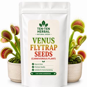Venus flugfälla frön | Dionaea muscipula köttätande växt