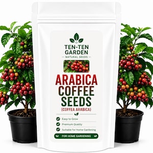 Peut inclure: Un sachet blanc debout étiqueté TEN-TEN GARDEN NATURAL SEEDS ARABICA COFFEE SEEDS (COFFEA ARABICA) avec du texte indiquant facile à cultiver, qualité supérieure et jardinage, flanqué de deux caféiers en pot avec feuilles vertes et baies rouges.