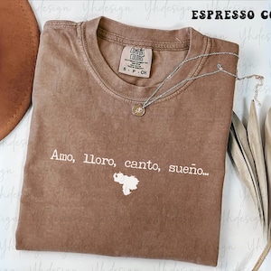 May include: Espresso-colored t-shirt with the text "Amo, lloro, canto, sueño..." and a white outline of a country. The shirt has a crew neck and a small tag on the upper left. A silver necklace with a pendant is on the shirt.