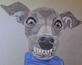 Original Italian greyhound drawing