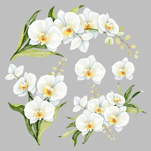 5 élégants cliparts aquarelle fleurs d'orchidées blanches, orchidée PNG, sublimation de fleurs blanches, usage Commercial